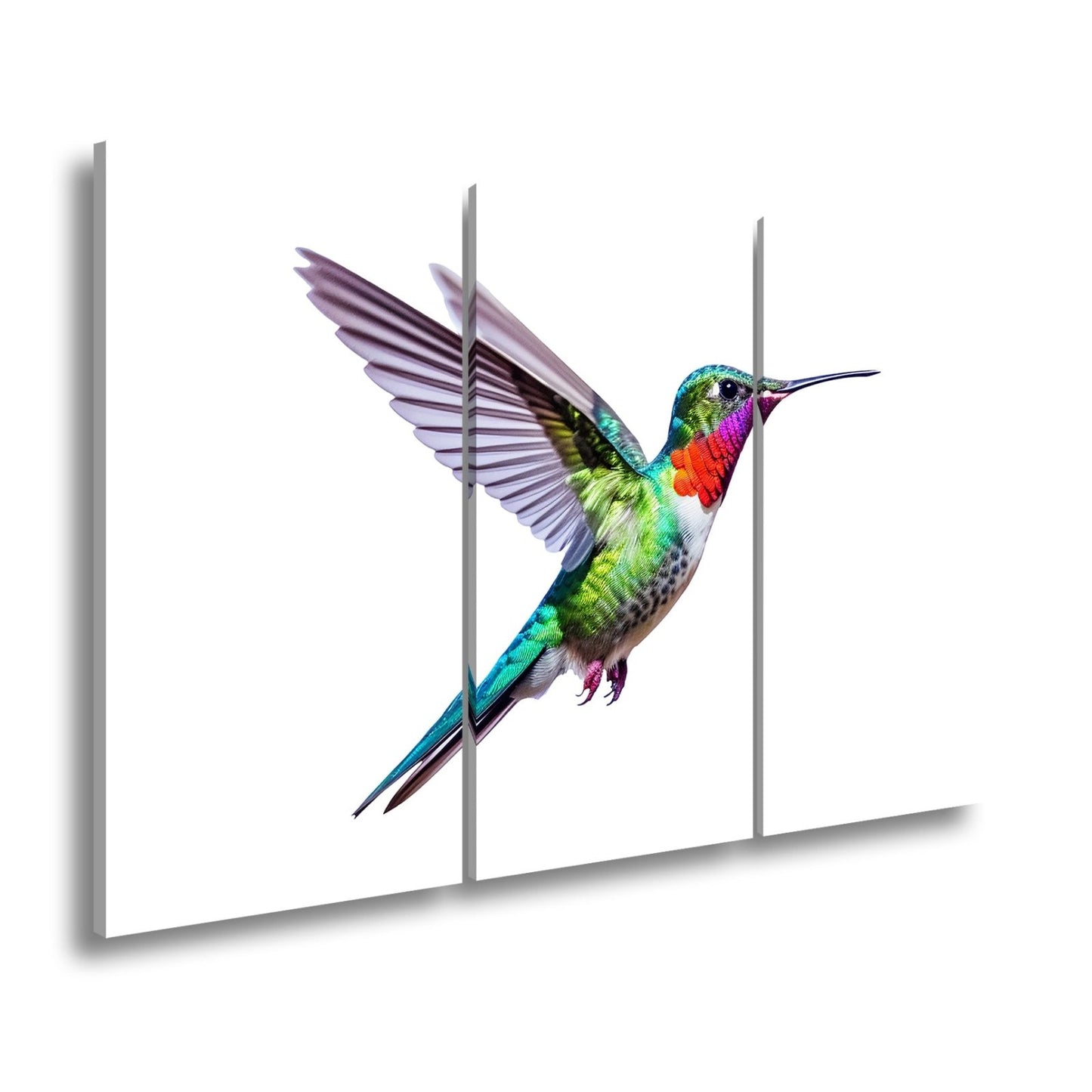 Leinwandbild Schillernder Kolibri in eleganter Flugpose - deyoli