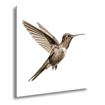 Leinwandbild Schillernder Kolibri in eleganter Flugpose - deyoli