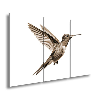 Leinwandbild Schillernder Kolibri in eleganter Flugpose - deyoli