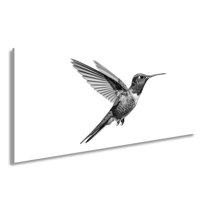 Leinwandbild Schillernder Kolibri in eleganter Flugpose - deyoli
