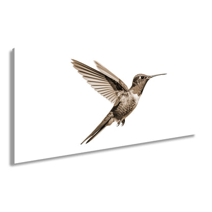 Leinwandbild Schillernder Kolibri in eleganter Flugpose - deyoli