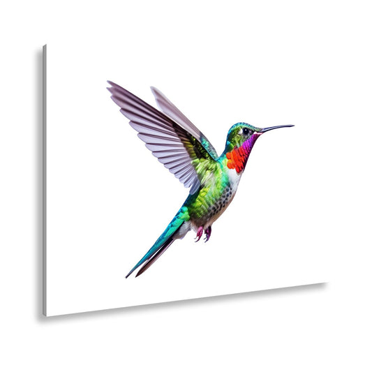 Leinwandbild Schillernder Kolibri in eleganter Flugpose - deyoli