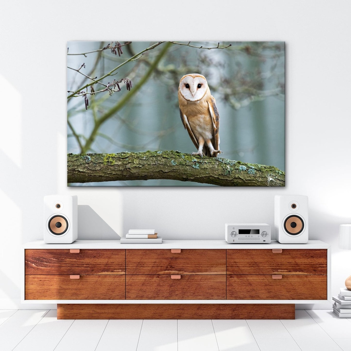 Leinwandbild Schleiereule Portrait – Stille Weisheit Vogel XXL Canvas - deyoli