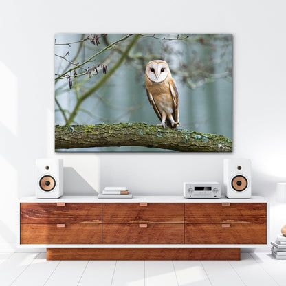 Leinwandbild Schleiereule Portrait – Stille Weisheit Vogel XXL Canvas - deyoli