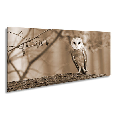 Leinwandbild Schleiereule Portrait – Stille Weisheit Vogel XXL Canvas - deyoli