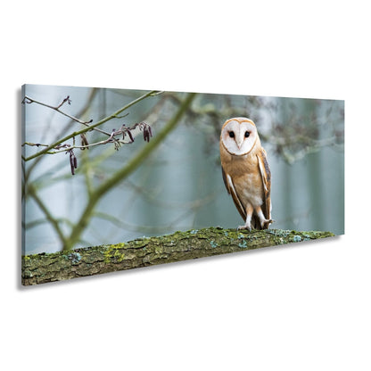 Leinwandbild Schleiereule Portrait – Stille Weisheit Vogel XXL Canvas - deyoli