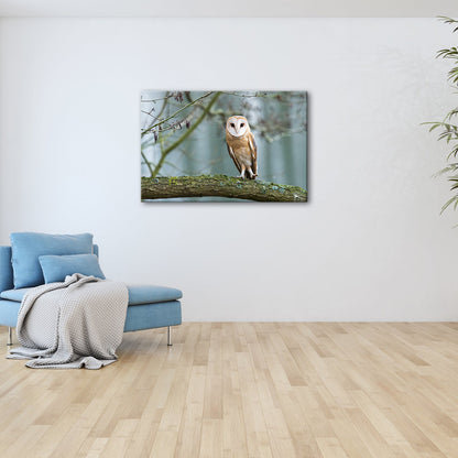 Leinwandbild Schleiereule Portrait – Stille Weisheit Vogel XXL Canvas - deyoli