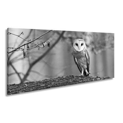 Leinwandbild Schleiereule Portrait – Stille Weisheit Vogel XXL Canvas - deyoli