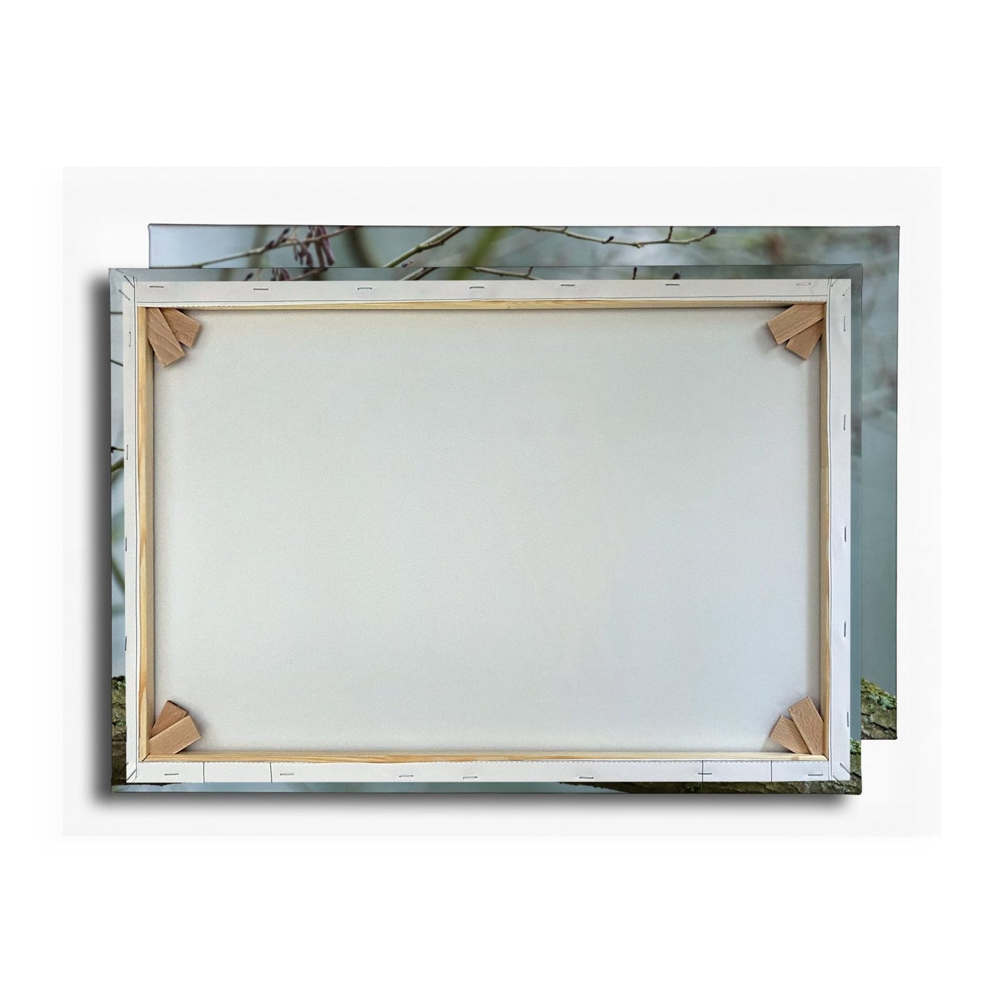 Leinwandbild Schleiereule Portrait – Stille Weisheit Vogel XXL Canvas - deyoli