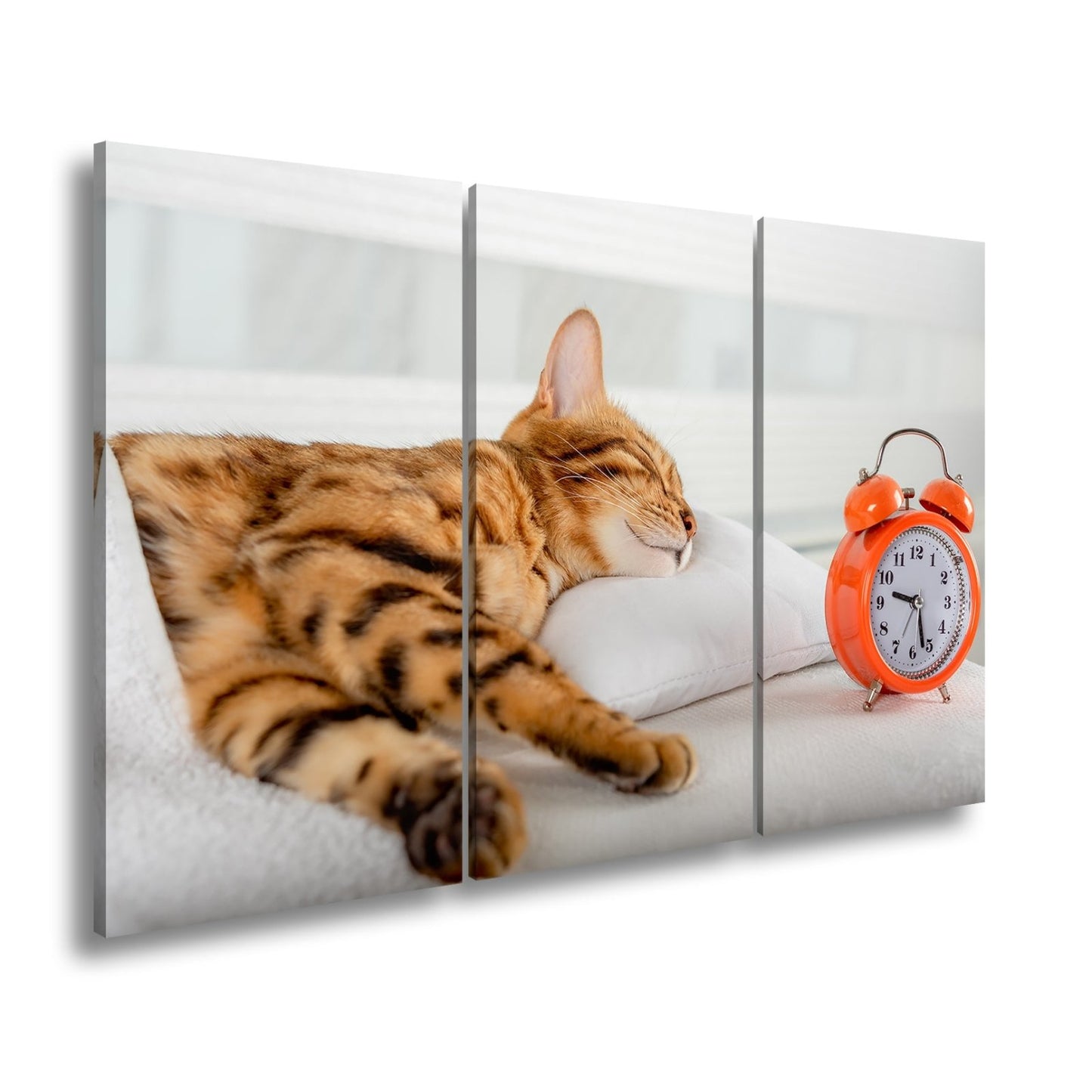 Leinwandbild Schlummerkatze und Uhr – Zeit steht still im Traum. - deyoli