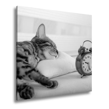 Leinwandbild Schlummerkatze und Uhr – Zeit steht still im Traum. - deyoli