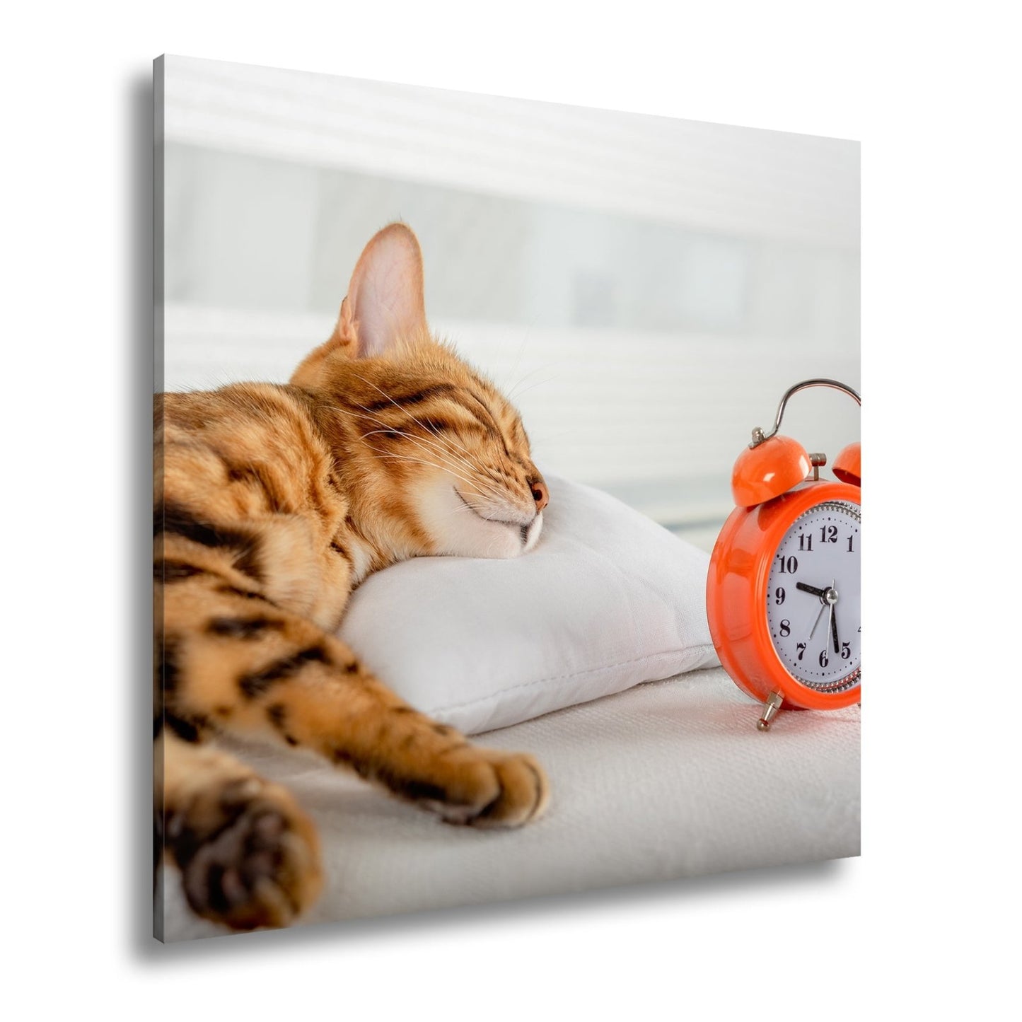 Leinwandbild Schlummerkatze und Uhr – Zeit steht still im Traum. - deyoli