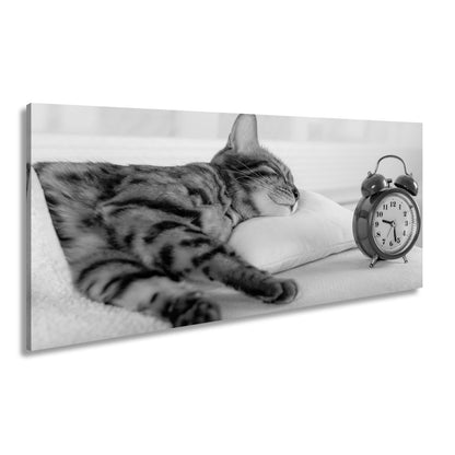Leinwandbild Schlummerkatze und Uhr – Zeit steht still im Traum. - deyoli