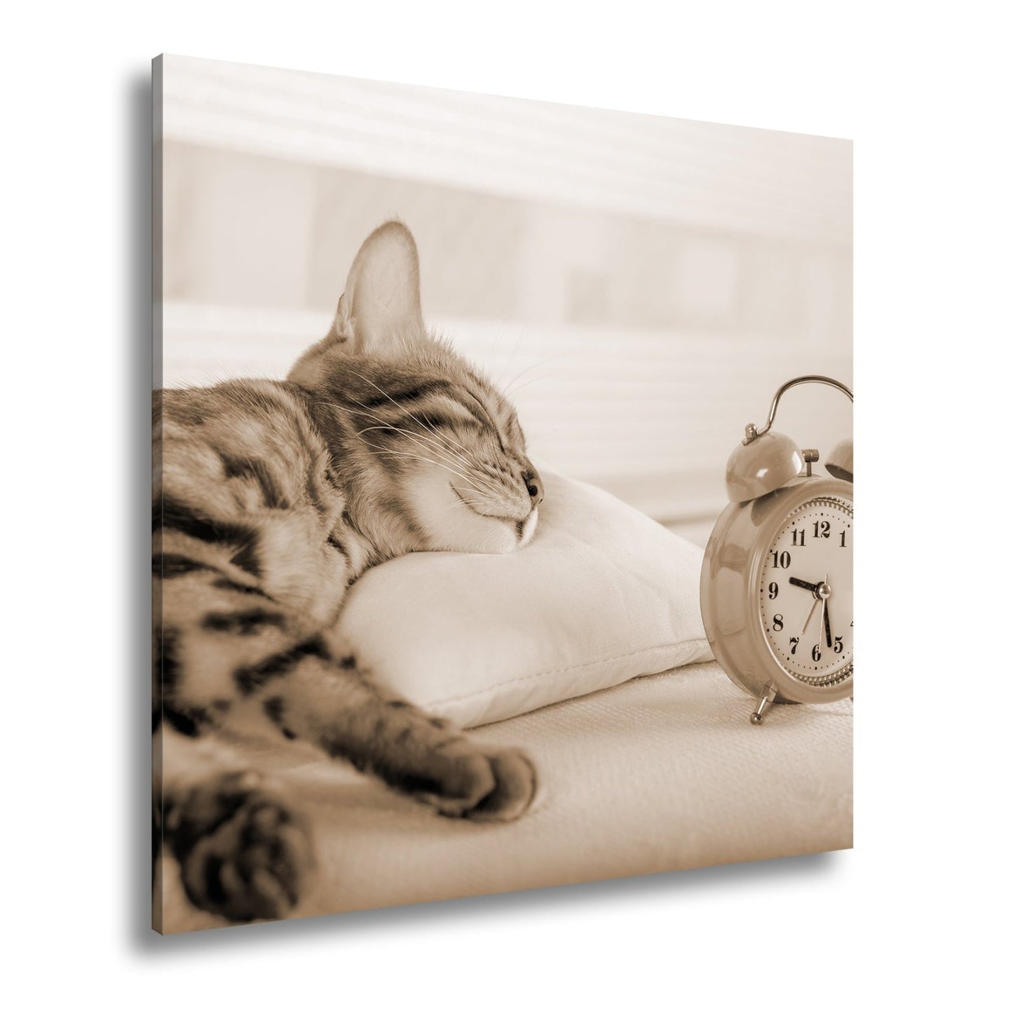 Leinwandbild Schlummerkatze und Uhr – Zeit steht still im Traum. - deyoli