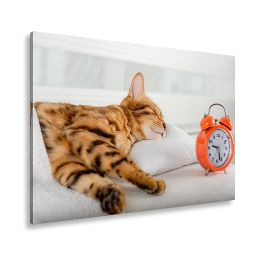 Leinwandbild Schlummerkatze und Uhr – Zeit steht still im Traum. - deyoli
