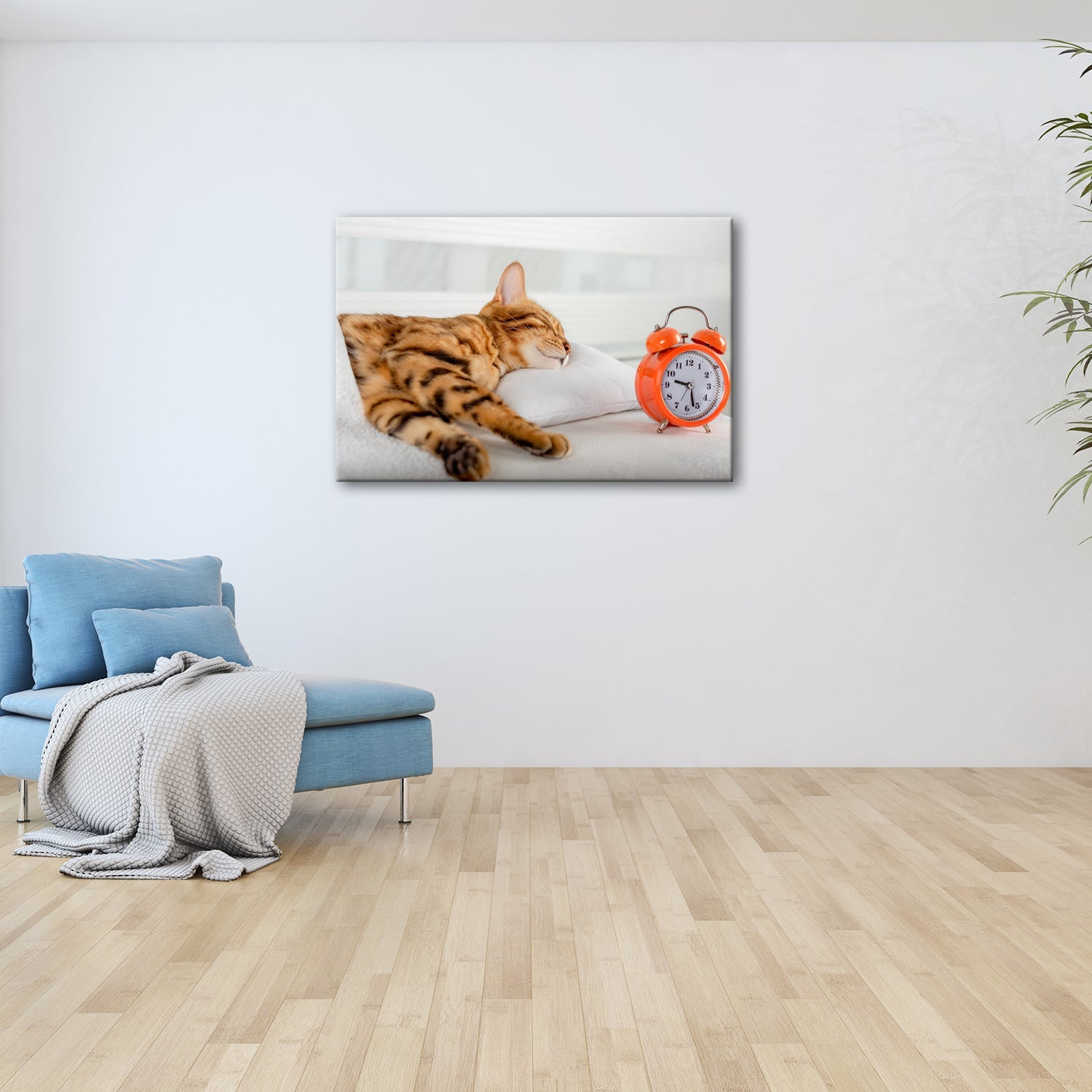Leinwandbild Schlummerkatze und Uhr – Zeit steht still im Traum. - deyoli