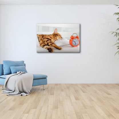 Leinwandbild Schlummerkatze und Uhr – Zeit steht still im Traum. - deyoli
