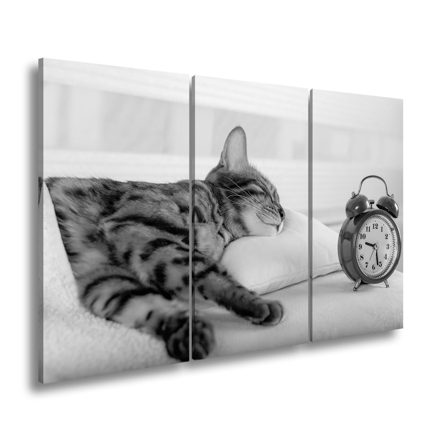 Leinwandbild Schlummerkatze und Uhr – Zeit steht still im Traum. - deyoli