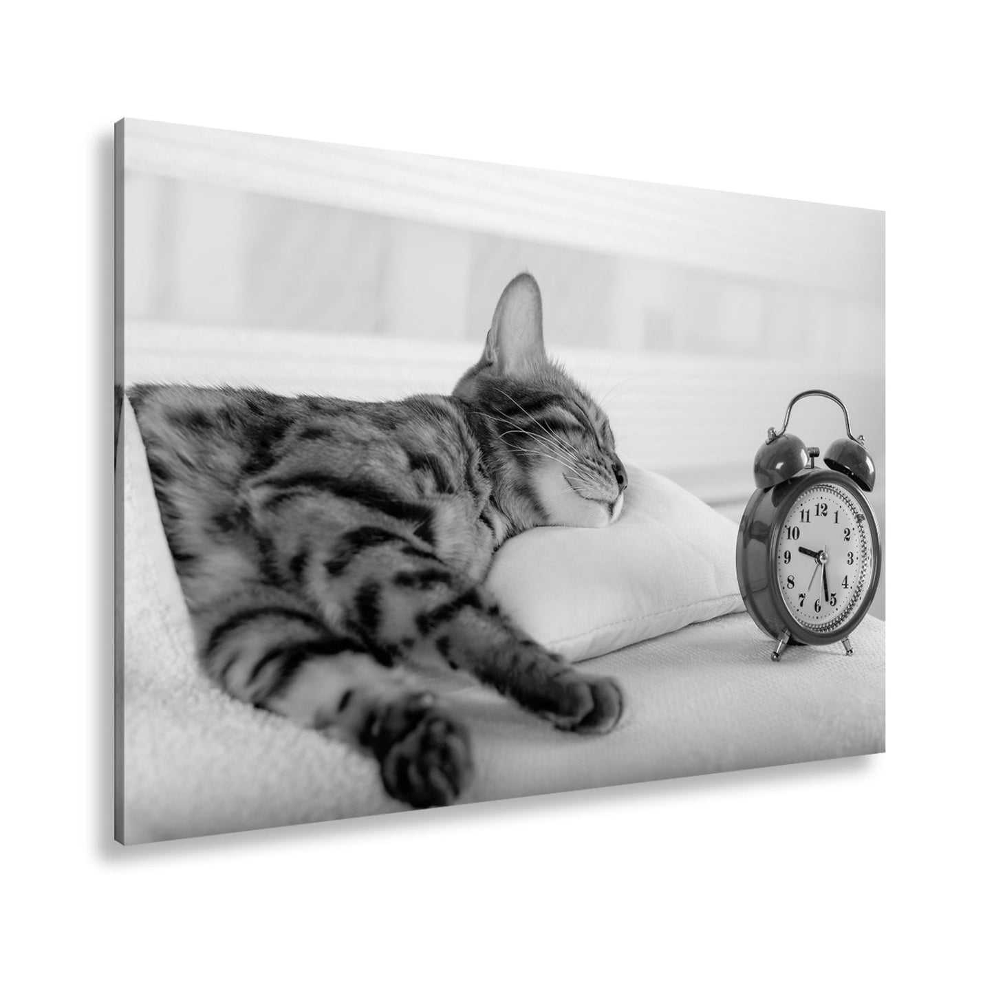 Leinwandbild Schlummerkatze und Uhr – Zeit steht still im Traum. - deyoli
