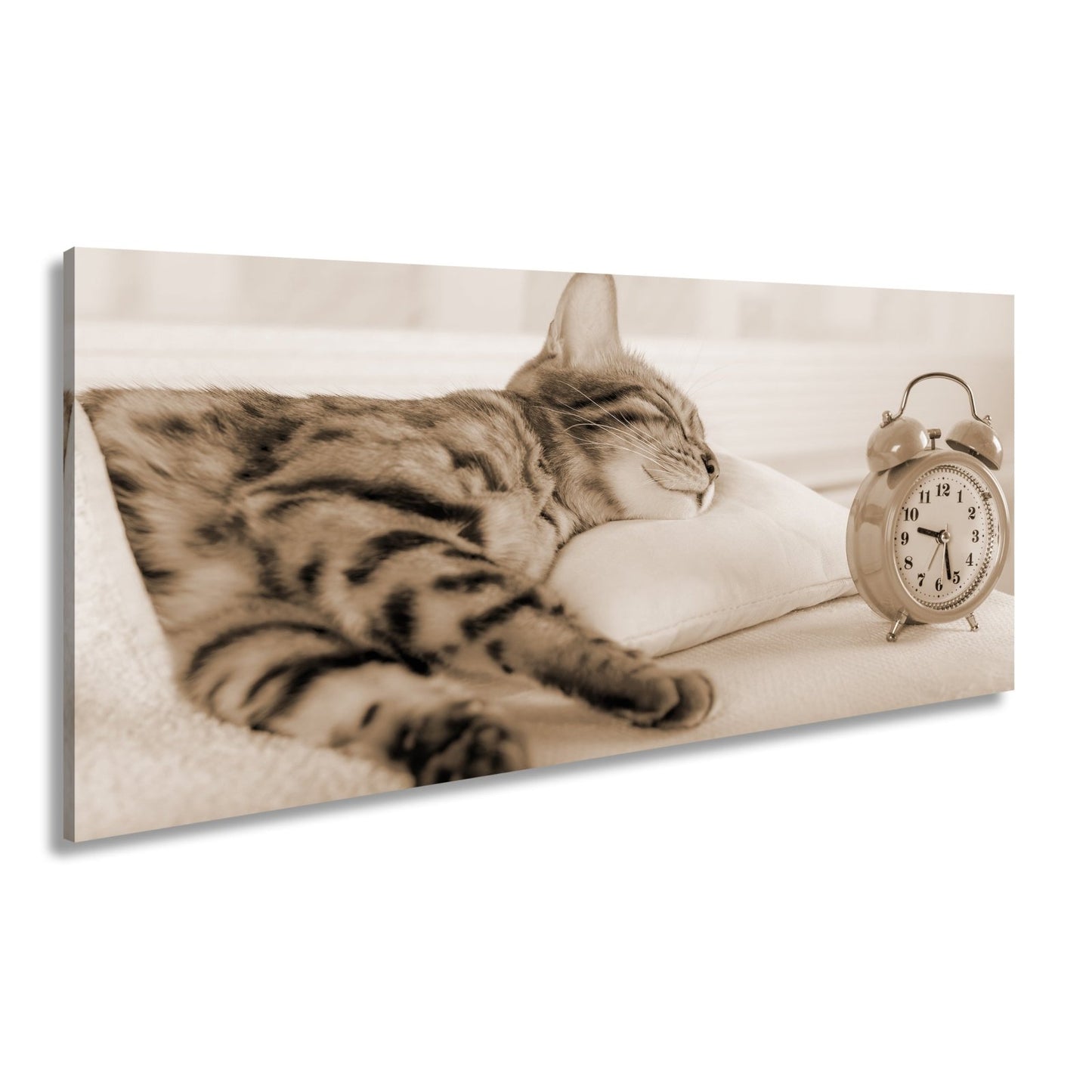 Leinwandbild Schlummerkatze und Uhr – Zeit steht still im Traum. - deyoli