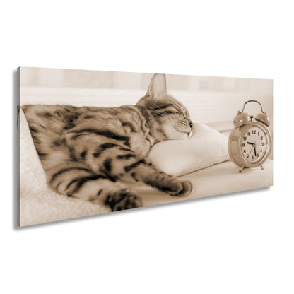 Leinwandbild Schlummerkatze und Uhr – Zeit steht still im Traum. - deyoli