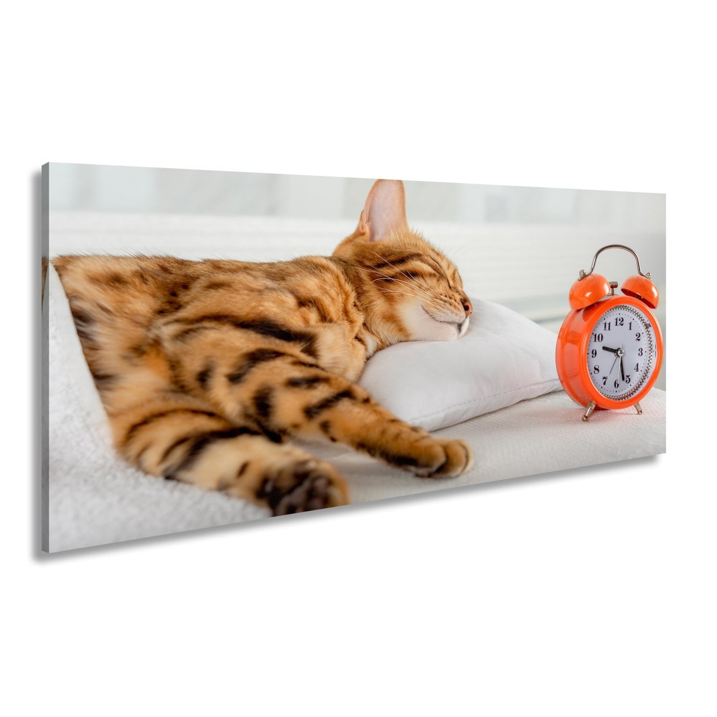 Leinwandbild Schlummerkatze und Uhr – Zeit steht still im Traum. - deyoli