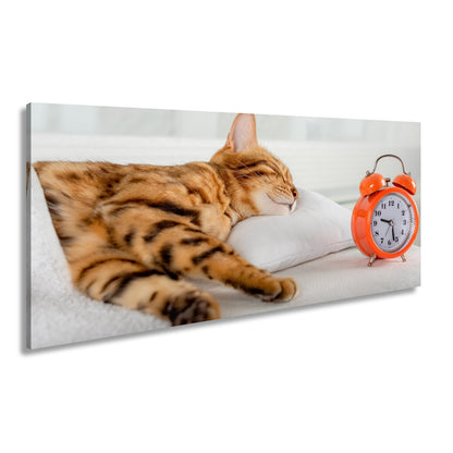 Leinwandbild Schlummerkatze und Uhr – Zeit steht still im Traum. - deyoli
