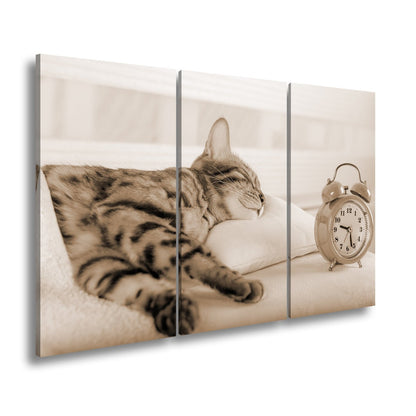 Leinwandbild Schlummerkatze und Uhr – Zeit steht still im Traum. - deyoli