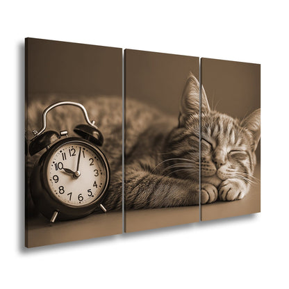 Leinwandbild Schlummernde Katze träumt, die Zeit bleibt still. - deyoli