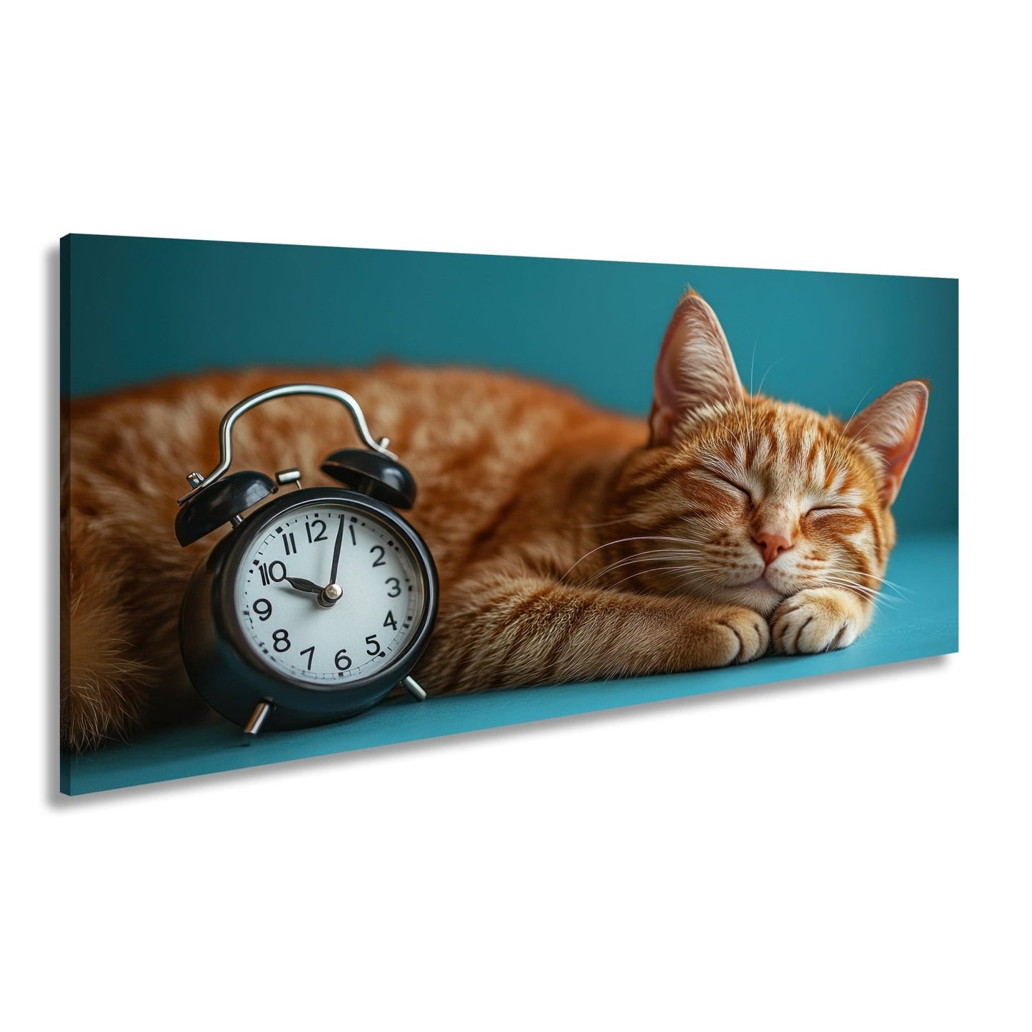 Leinwandbild Schlummernde Katze träumt, die Zeit bleibt still. - deyoli