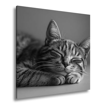 Leinwandbild Schlummernde Katze träumt, die Zeit bleibt still. - deyoli