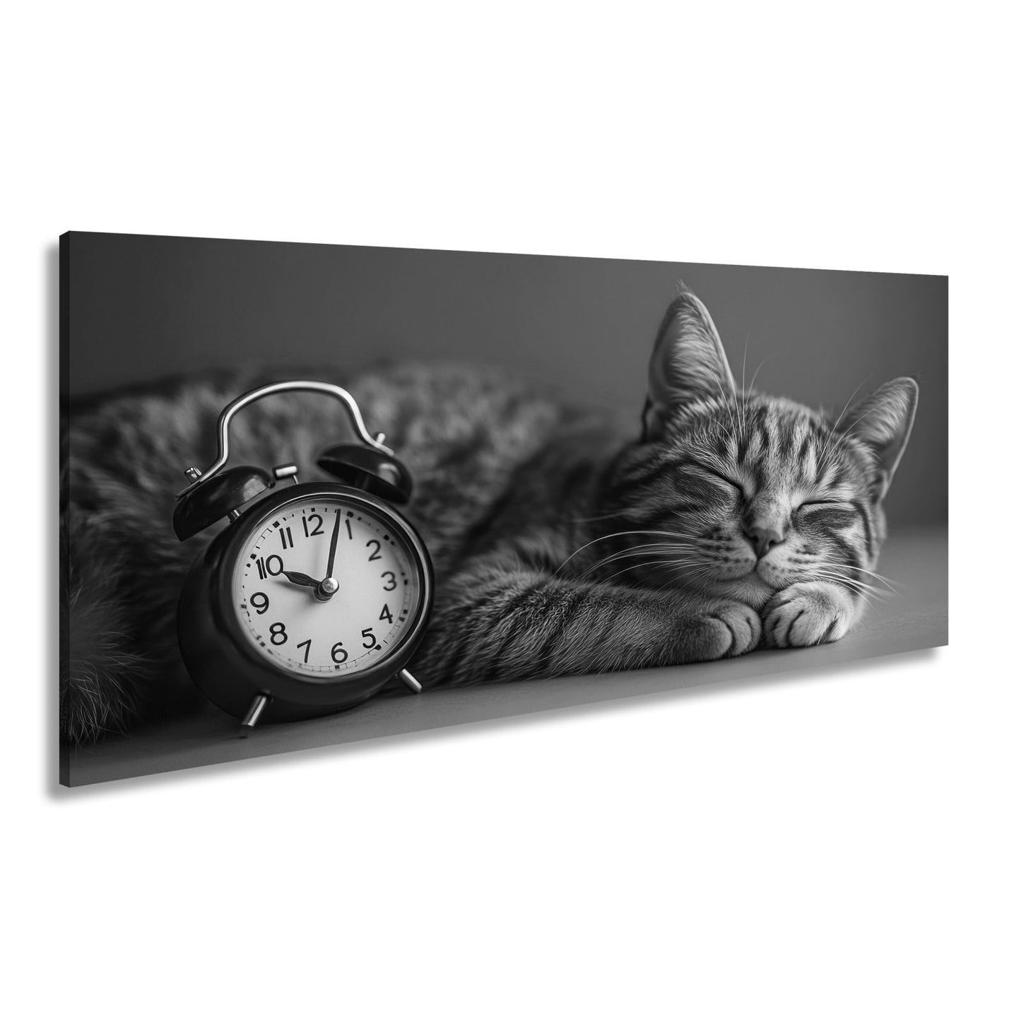 Leinwandbild Schlummernde Katze träumt, die Zeit bleibt still. - deyoli