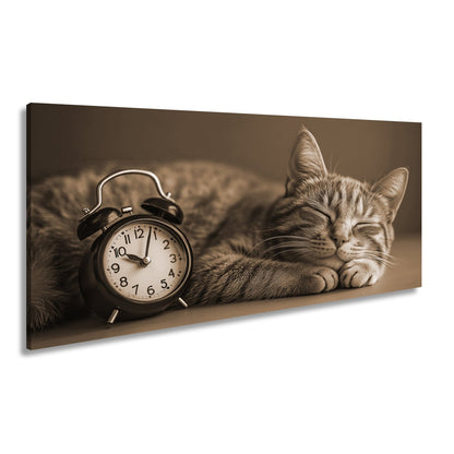 Leinwandbild Schlummernde Katze träumt, die Zeit bleibt still. - deyoli