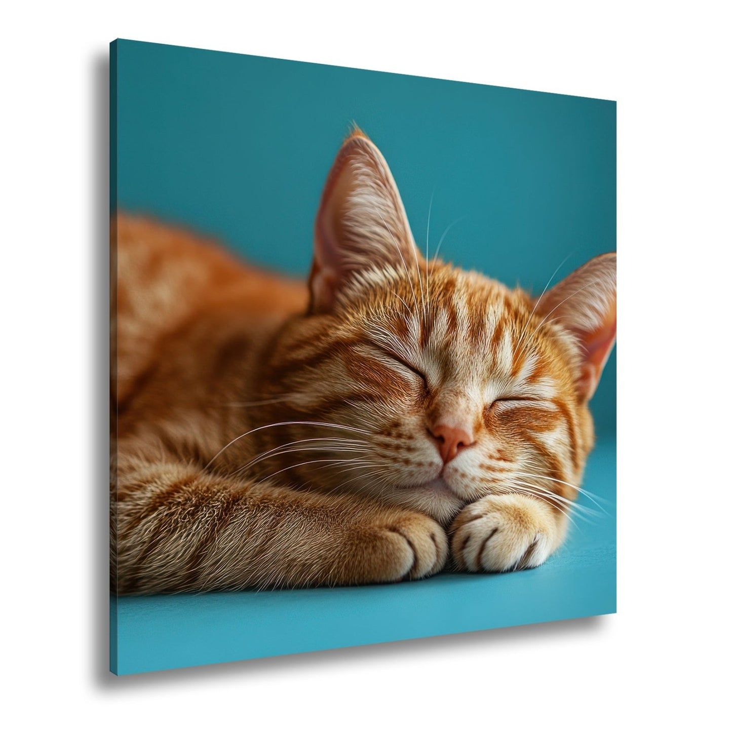 Leinwandbild Schlummernde Katze träumt, die Zeit bleibt still. - deyoli