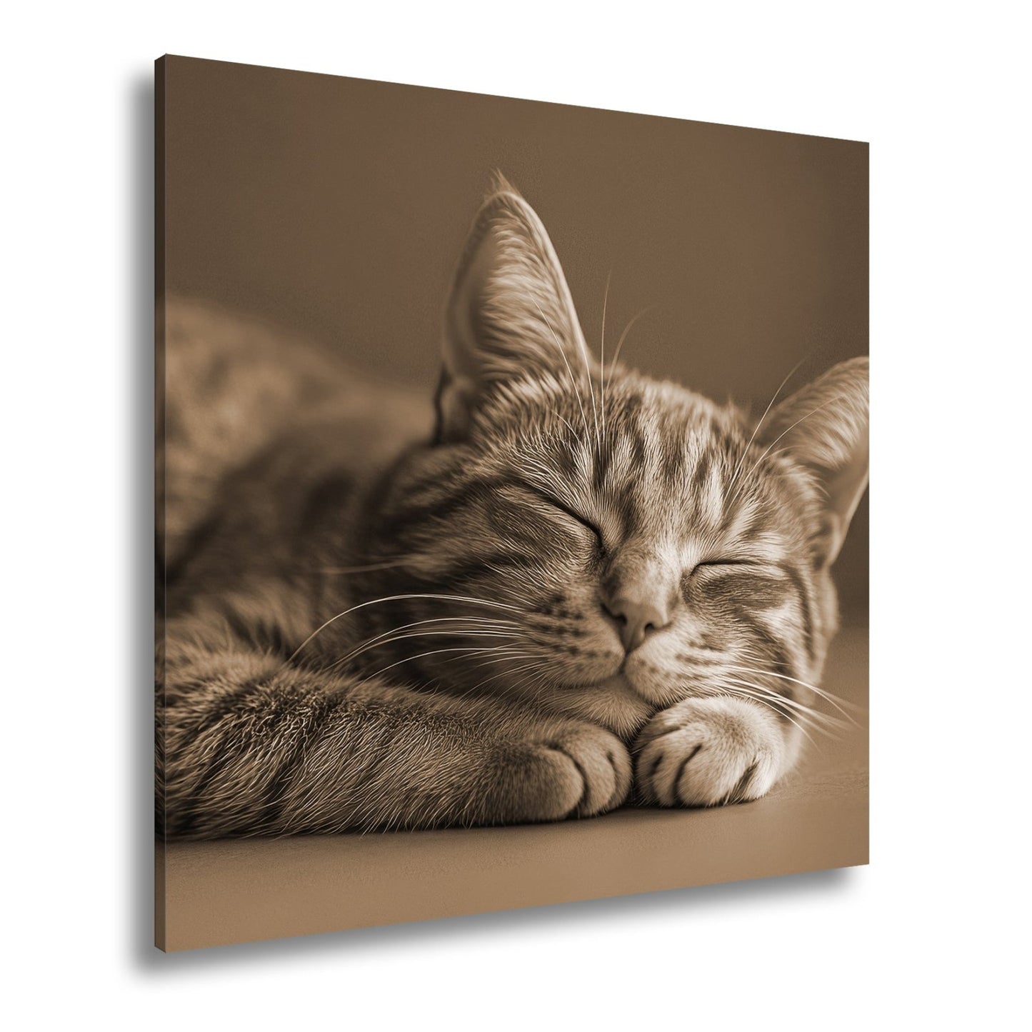 Leinwandbild Schlummernde Katze träumt, die Zeit bleibt still. - deyoli