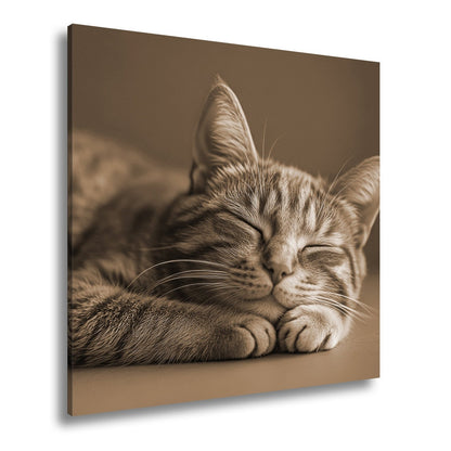Leinwandbild Schlummernde Katze träumt, die Zeit bleibt still. - deyoli