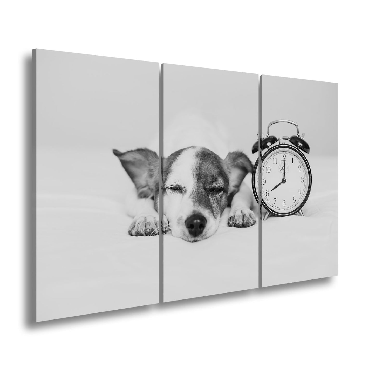 Leinwandbild Schlummerzeit – Hund träumt neben dem Wecker. - deyoli