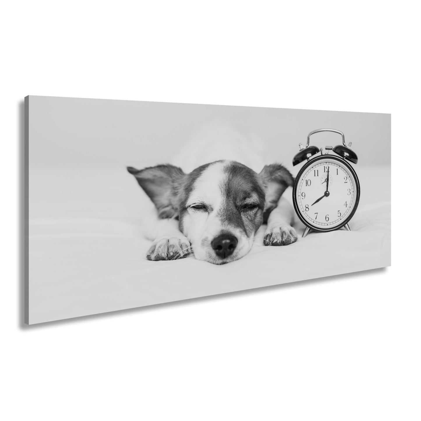 Leinwandbild Schlummerzeit – Hund träumt neben dem Wecker. - deyoli