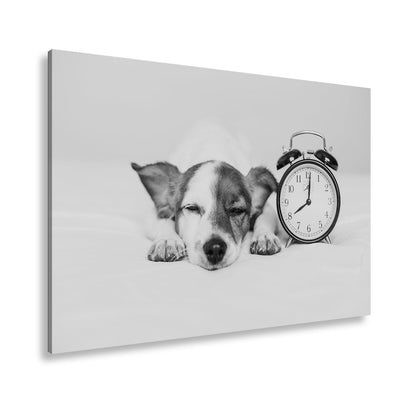 Leinwandbild Schlummerzeit – Hund träumt neben dem Wecker. - deyoli