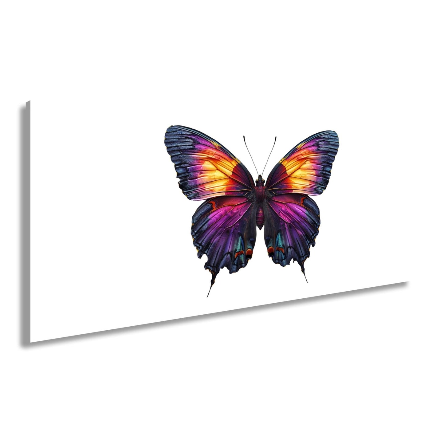 Leinwandbild Schmetterling in leuchtendem Violett und Sonnengold - deyoli