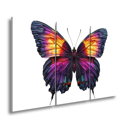 Leinwandbild Schmetterling in leuchtendem Violett und Sonnengold - deyoli