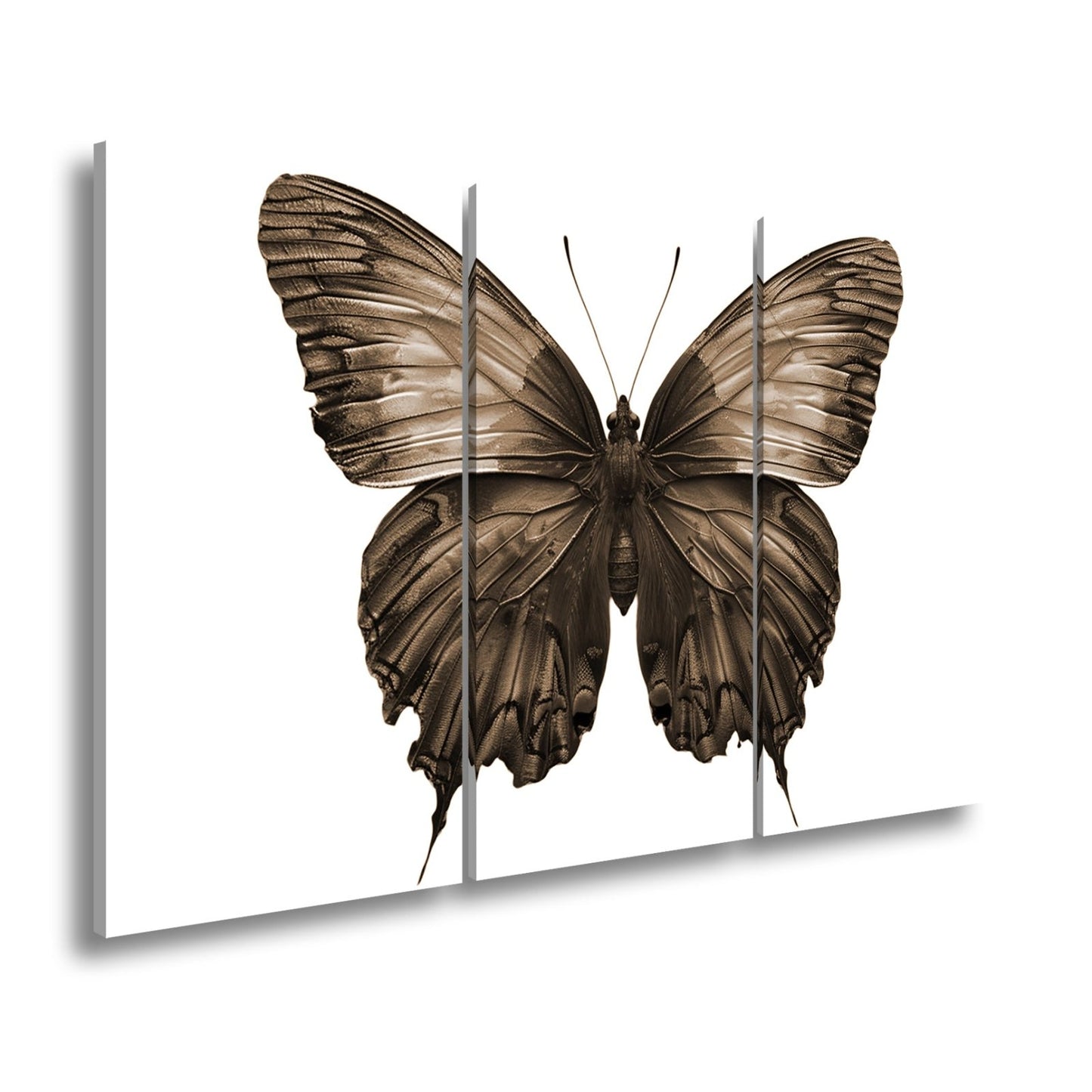 Leinwandbild Schmetterling in leuchtendem Violett und Sonnengold - deyoli