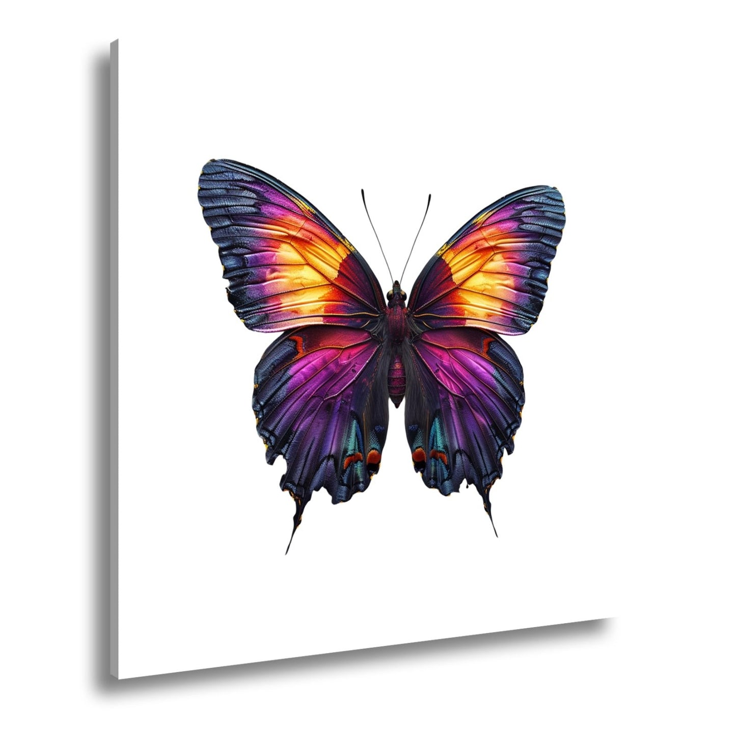 Leinwandbild Schmetterling in leuchtendem Violett und Sonnengold - deyoli