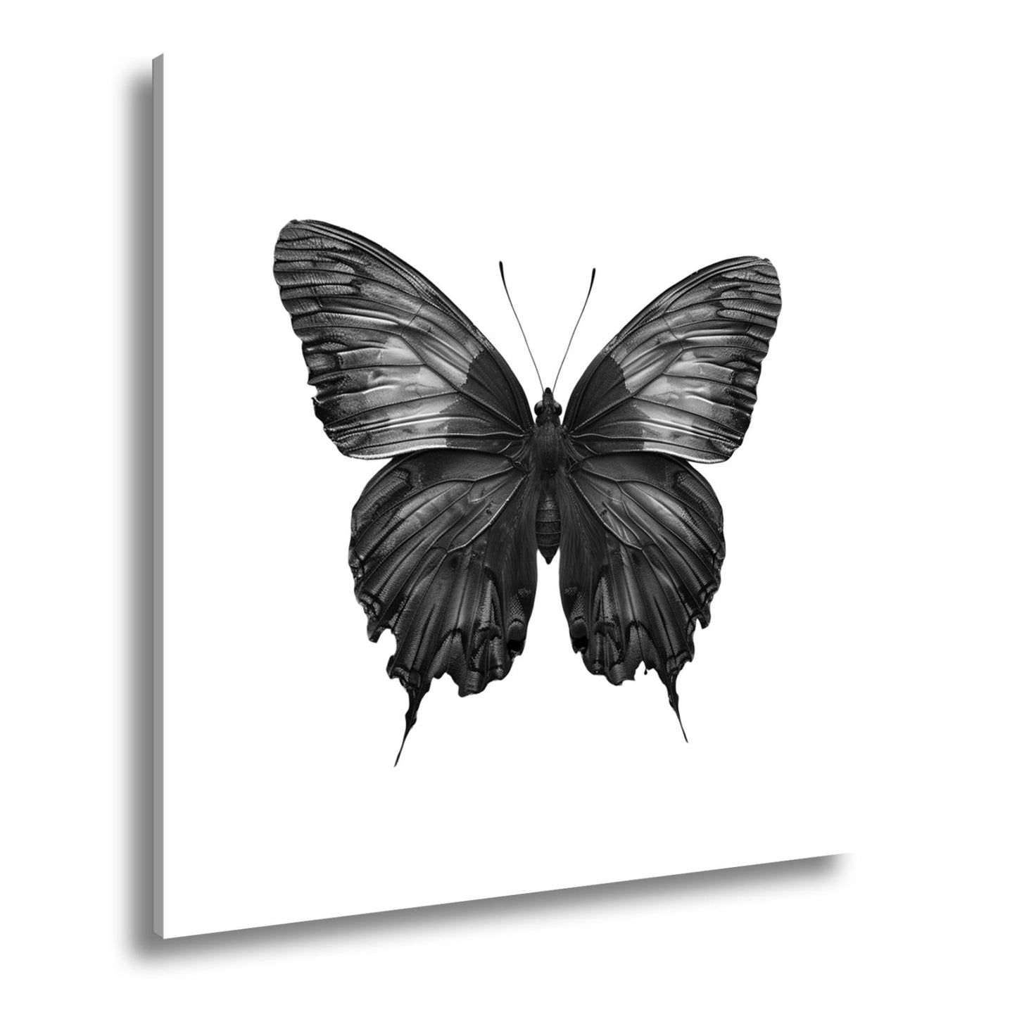 Leinwandbild Schmetterling in leuchtendem Violett und Sonnengold - deyoli
