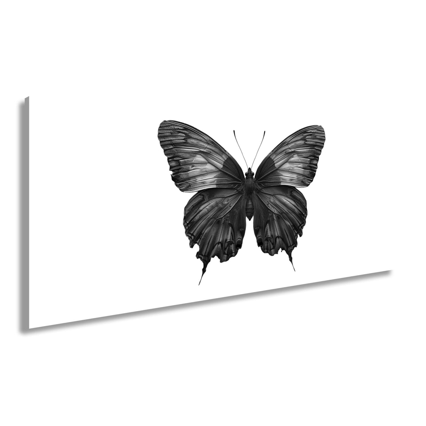 Leinwandbild Schmetterling in leuchtendem Violett und Sonnengold - deyoli