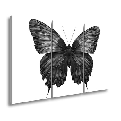 Leinwandbild Schmetterling in leuchtendem Violett und Sonnengold - deyoli