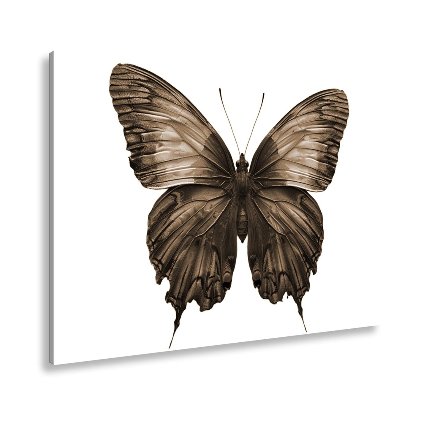 Leinwandbild Schmetterling in leuchtendem Violett und Sonnengold - deyoli