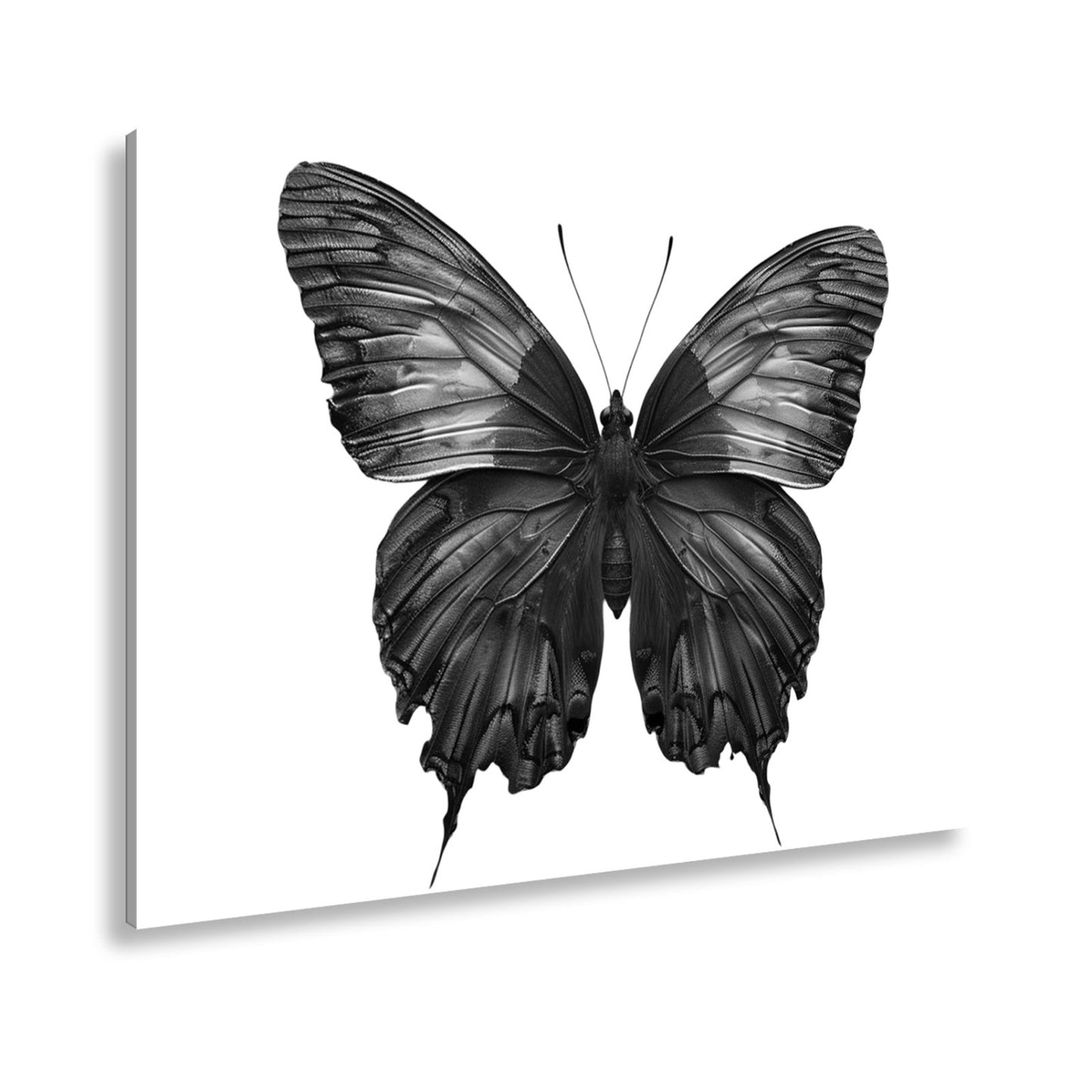 Leinwandbild Schmetterling in leuchtendem Violett und Sonnengold - deyoli