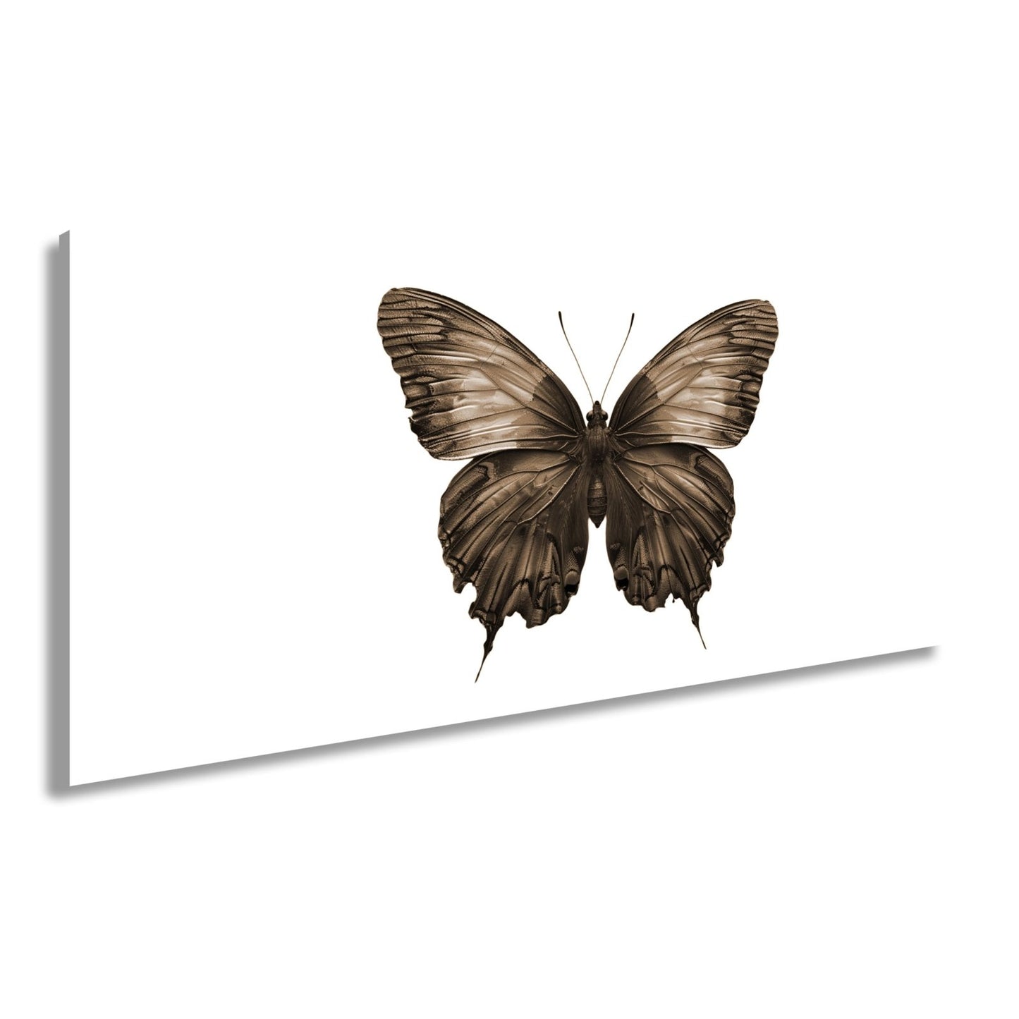 Leinwandbild Schmetterling in leuchtendem Violett und Sonnengold - deyoli