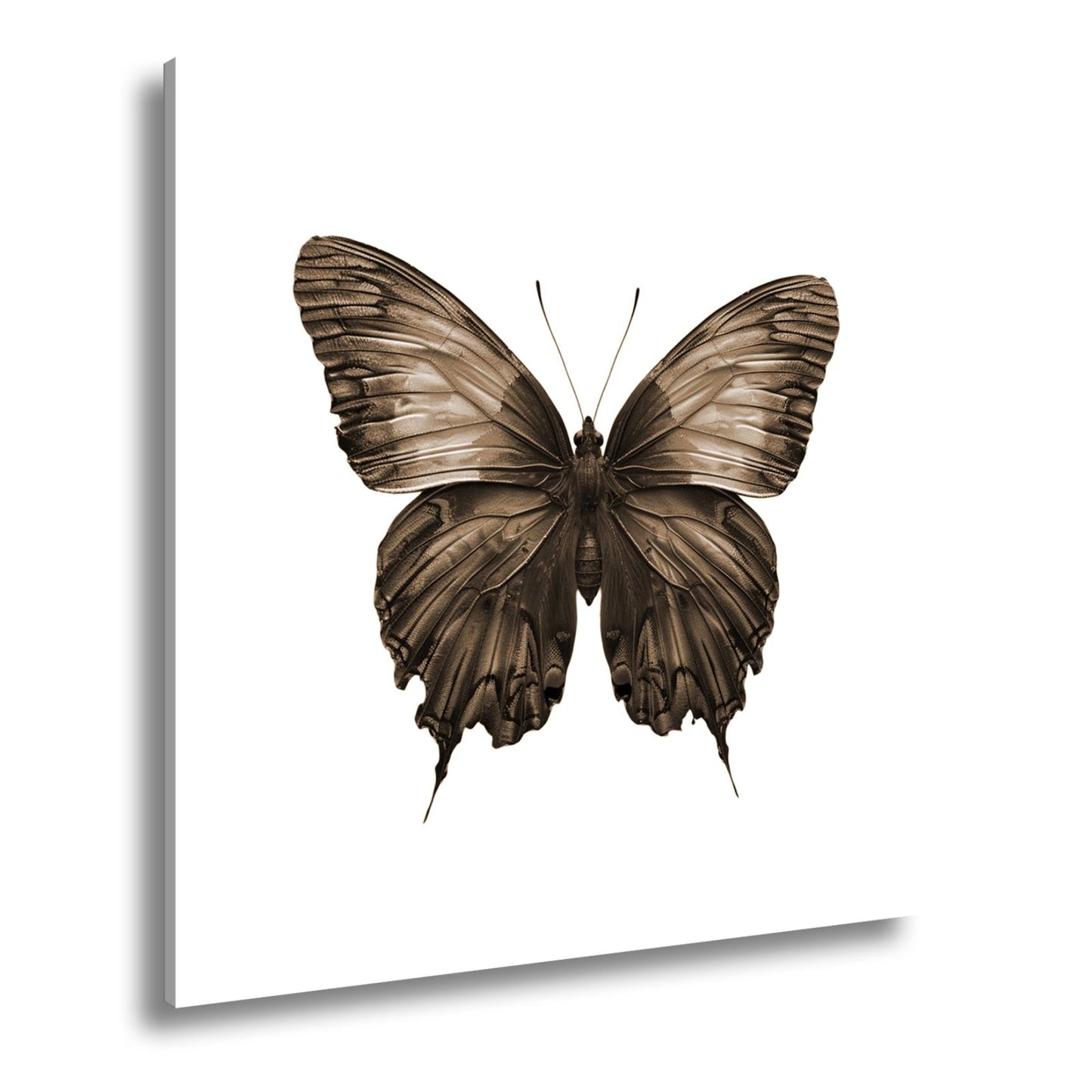 Leinwandbild Schmetterling in leuchtendem Violett und Sonnengold - deyoli